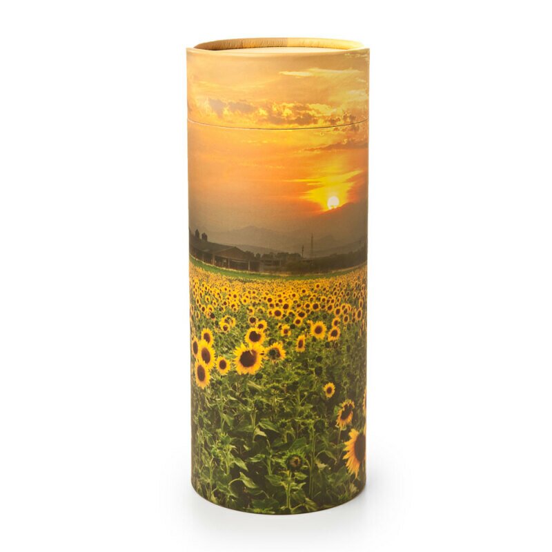 Sunflower Scattering Tube